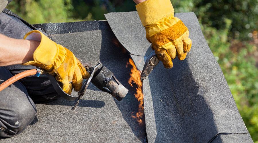 Professional gutter cleaning in Oldsmar, FL